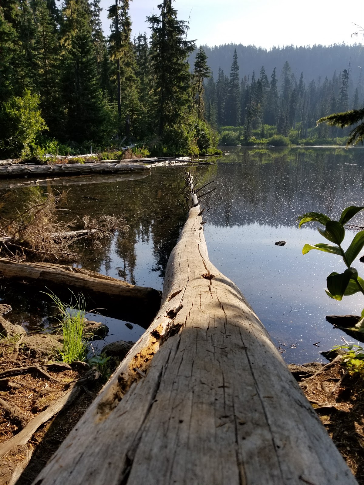 Blair Lake Campground
