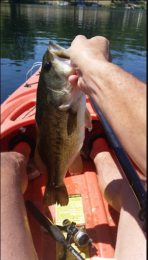 Holiday Shores RV Park