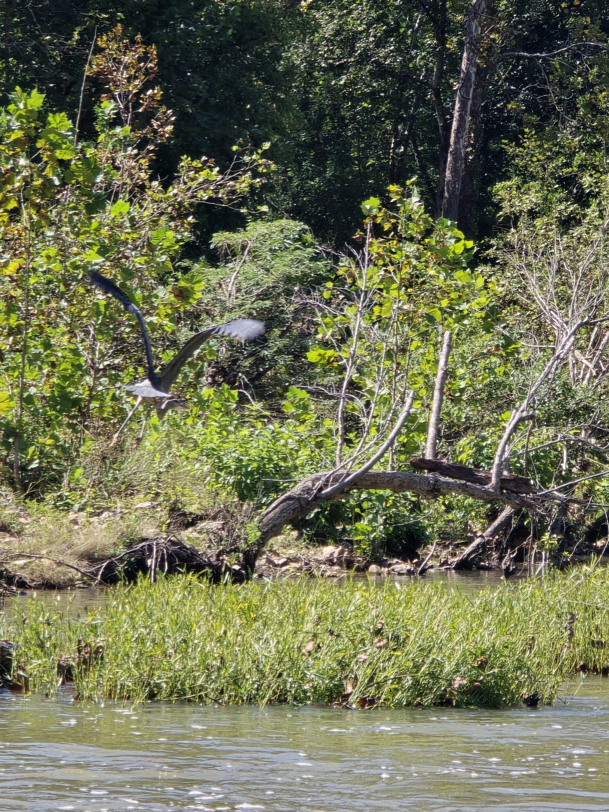 Two Rivers Campground