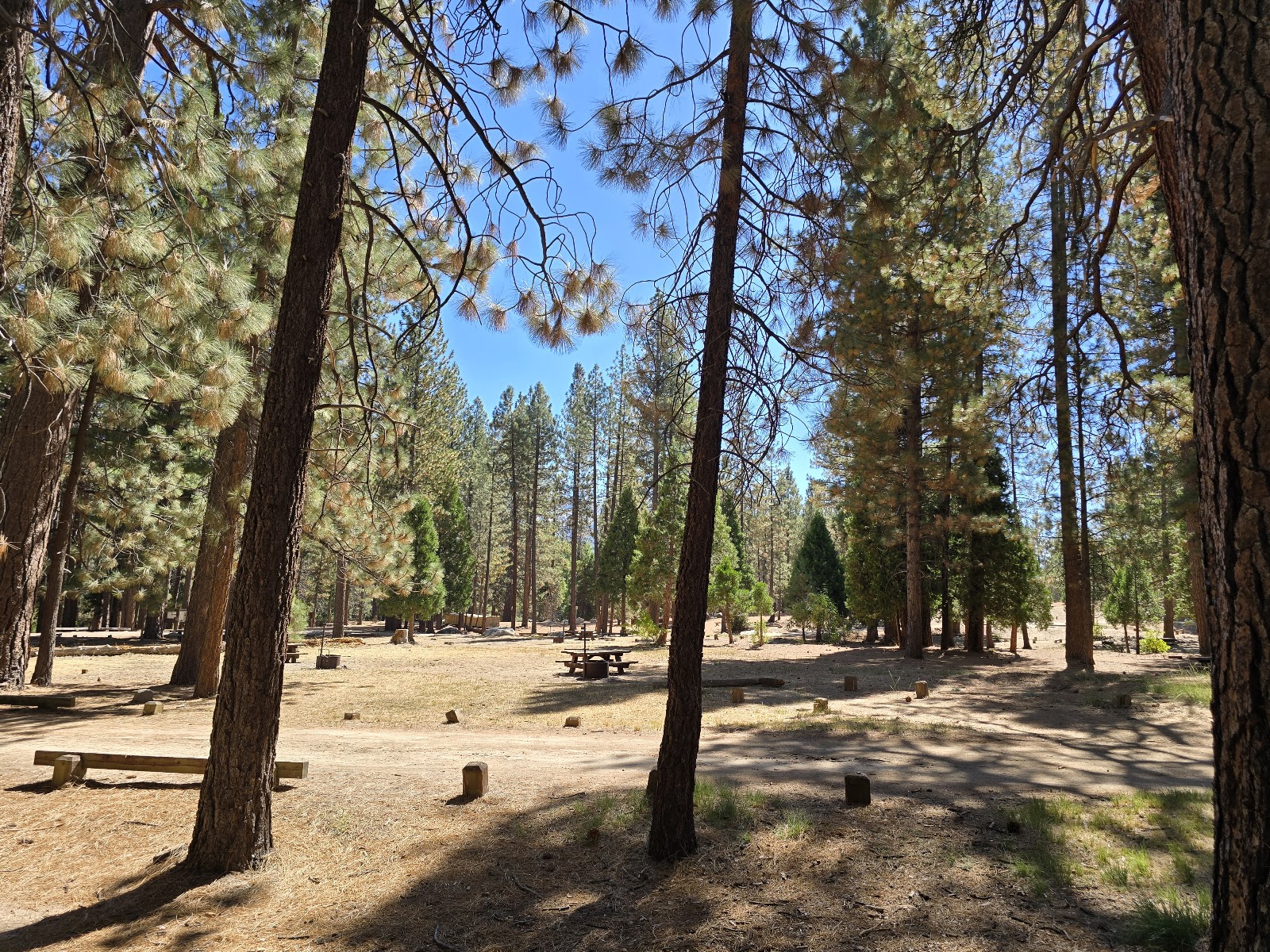 Lower Peppermint Campground