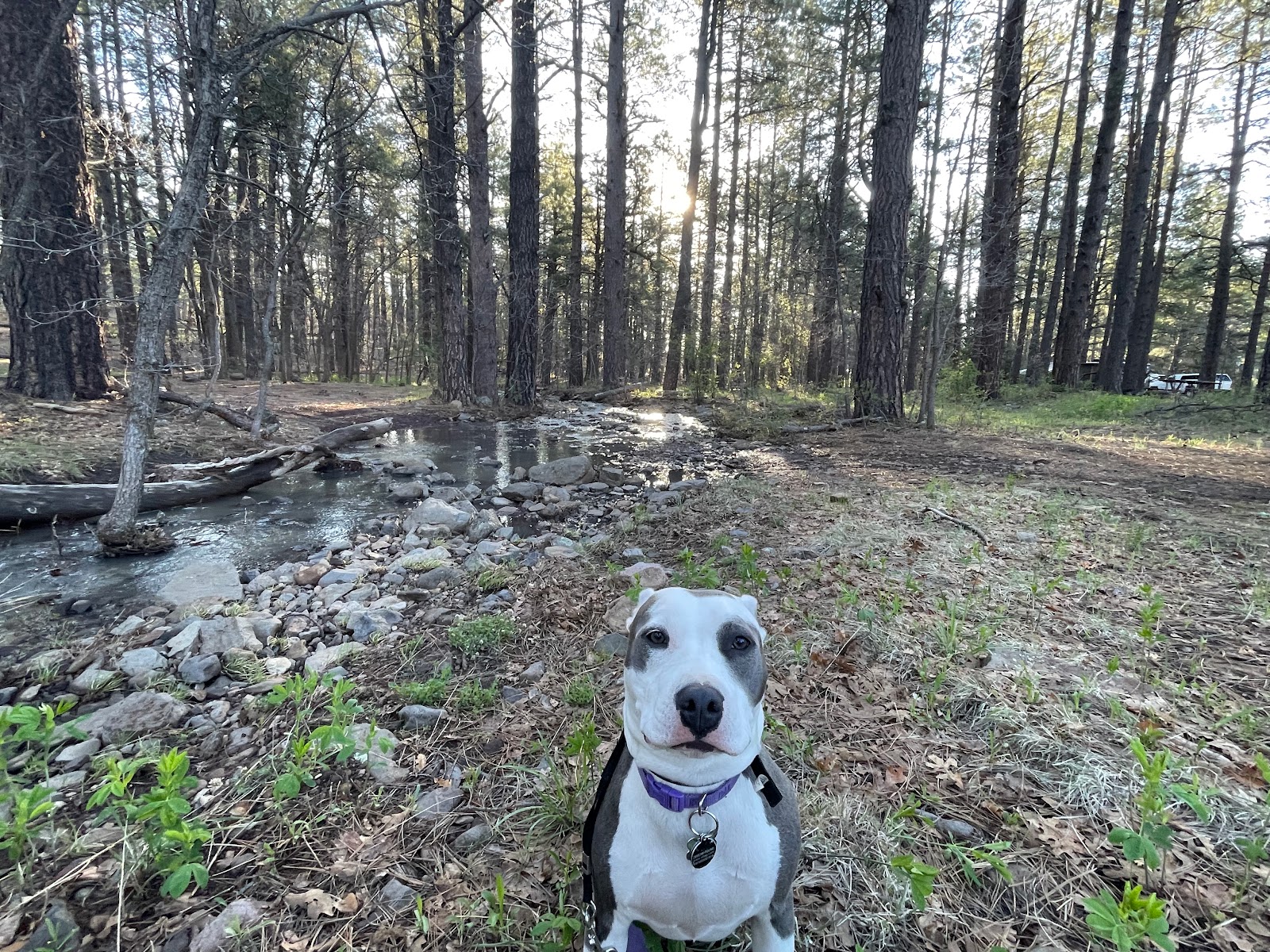 Double Springs Campground