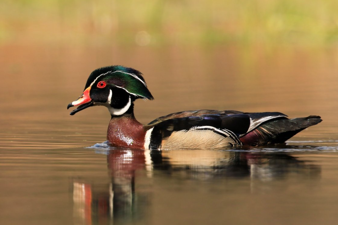 Lakeside Landing RV Park & Marina