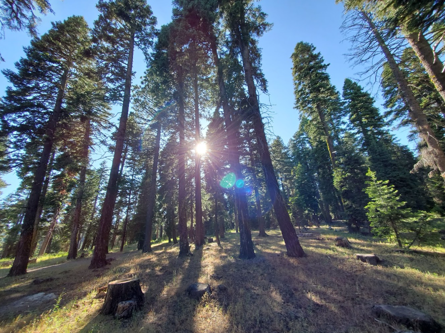 Stough Reservoir Campground