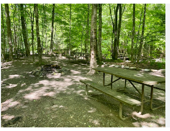 Brewster River Campground