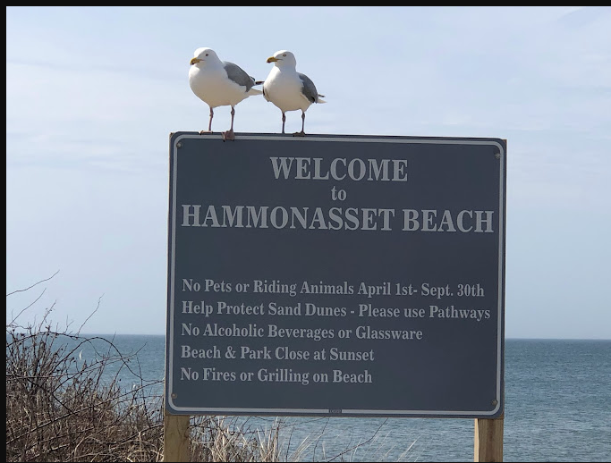 Hammonasset Beach State Park