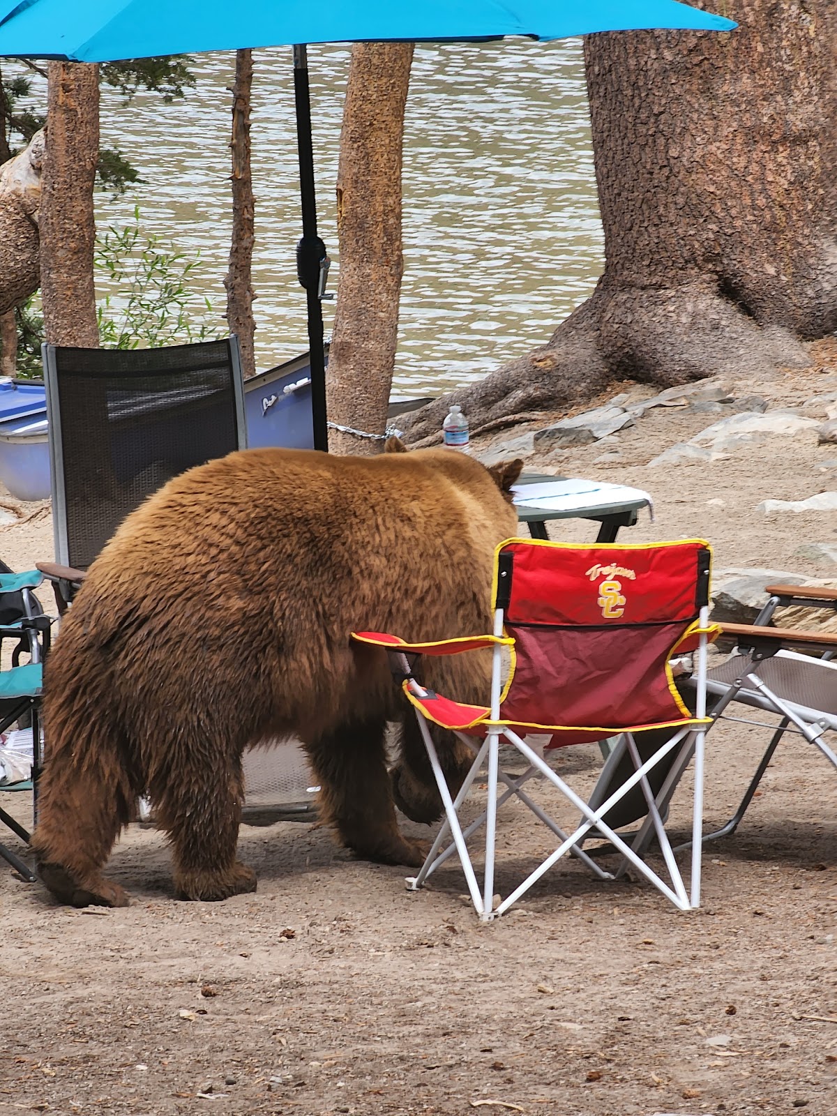 Lake Mary Campground