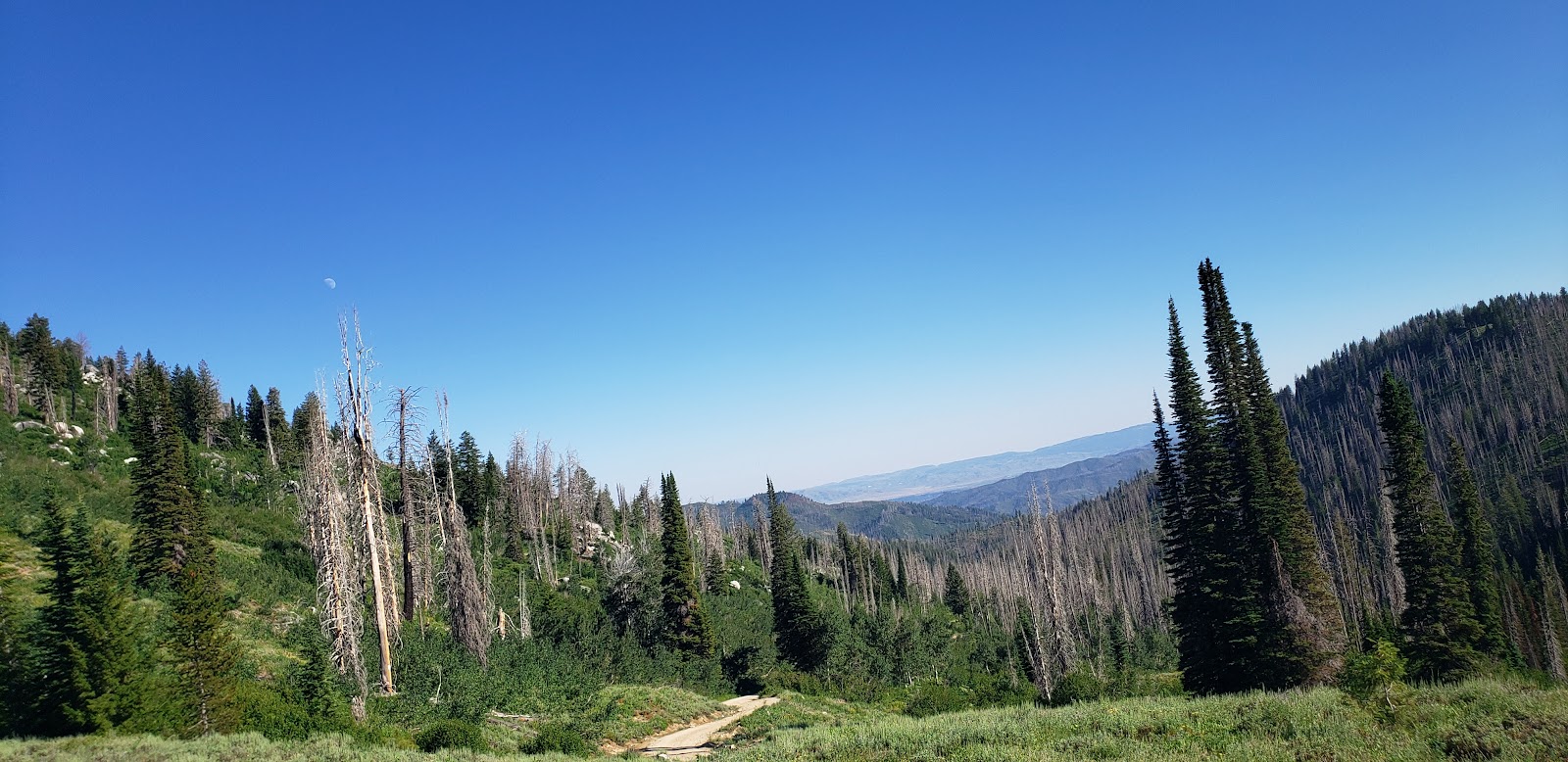 Baumgartner Campground