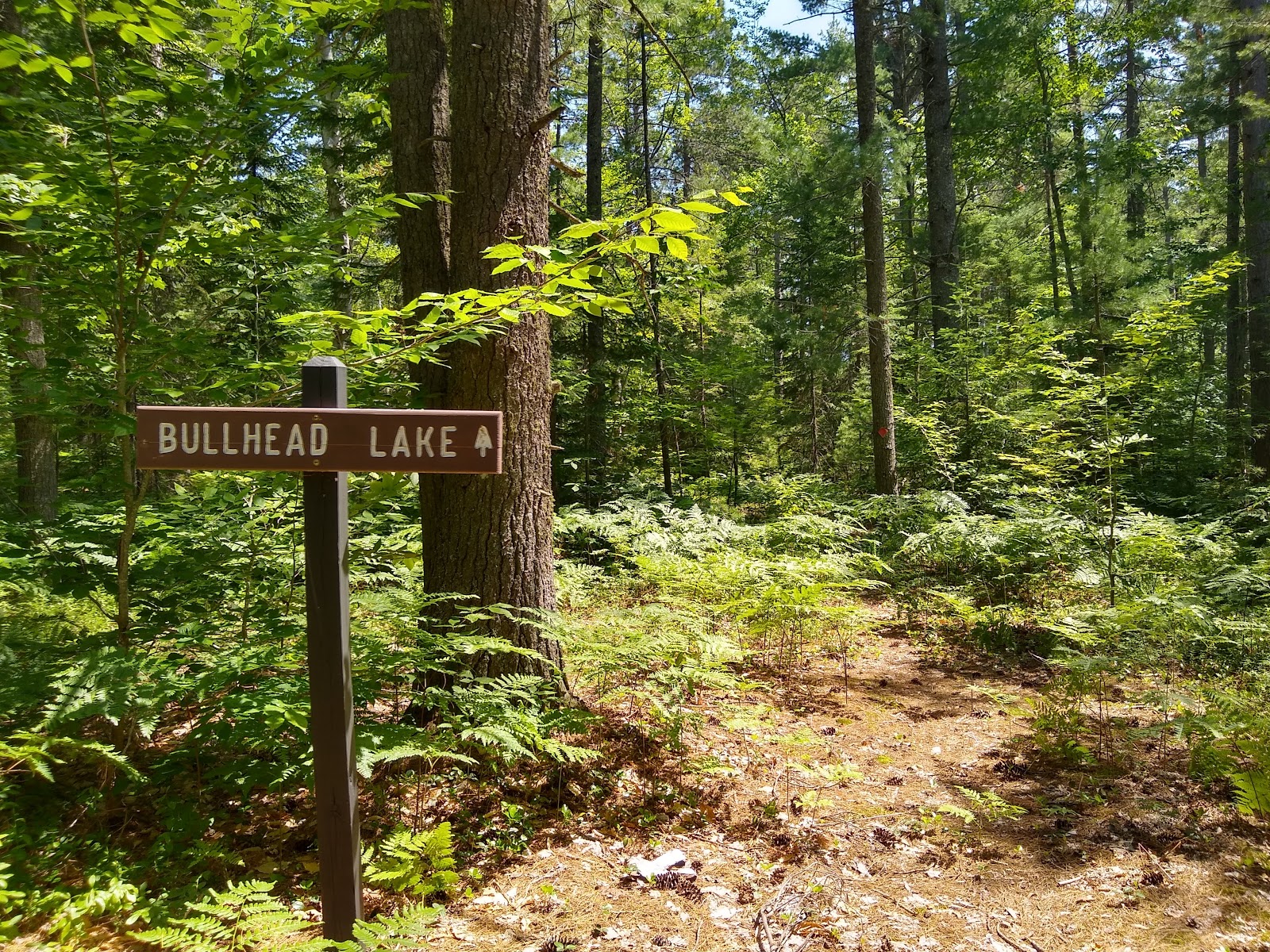Pretty Lake SF Campground