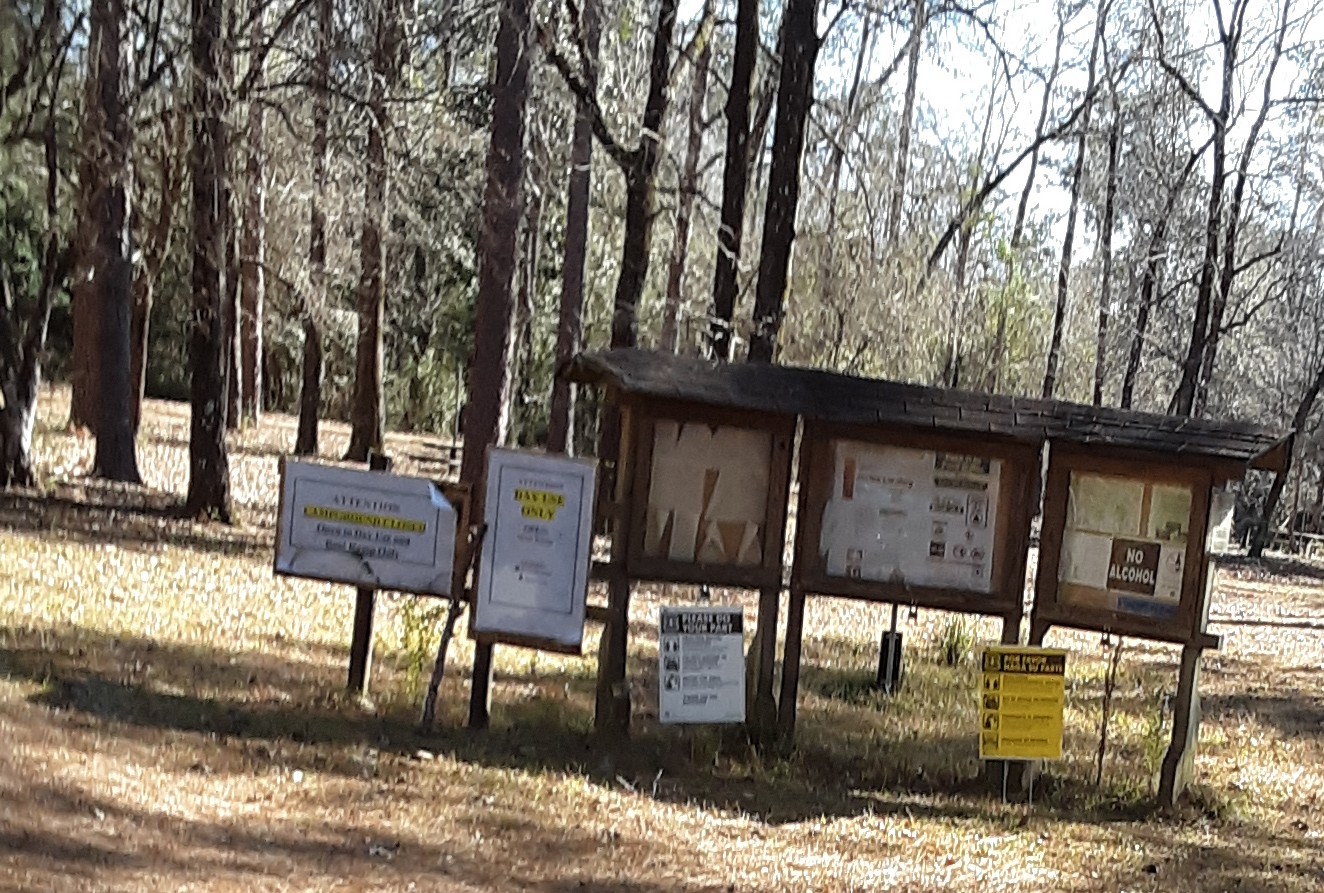 Janice Landing NF Campground