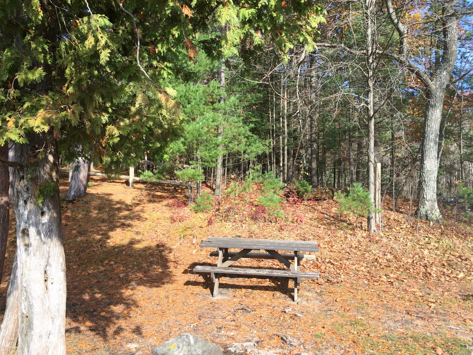 Guernsey Lake SF Campground