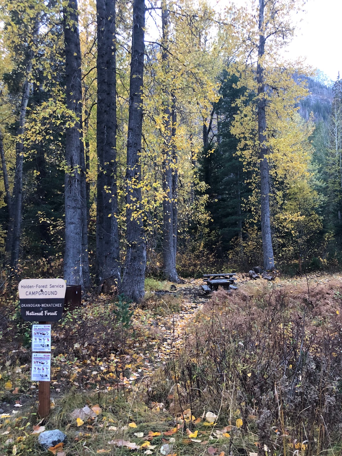 Holden Ballpark Campground