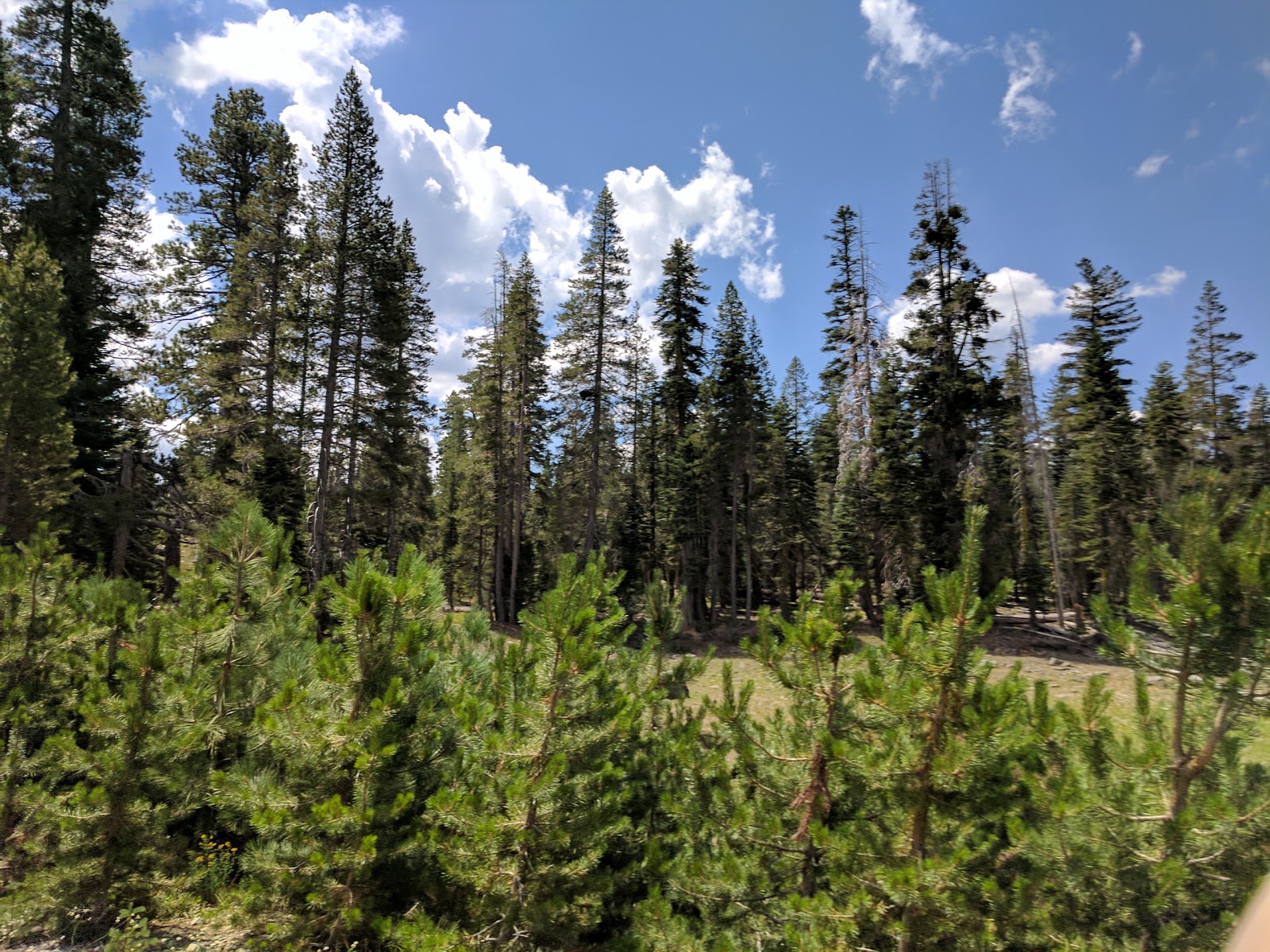 Goose Lake Campground