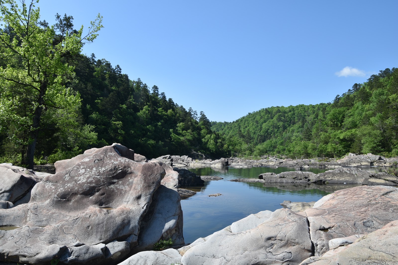 Cossatot Falls Area - Cossatot River State Park