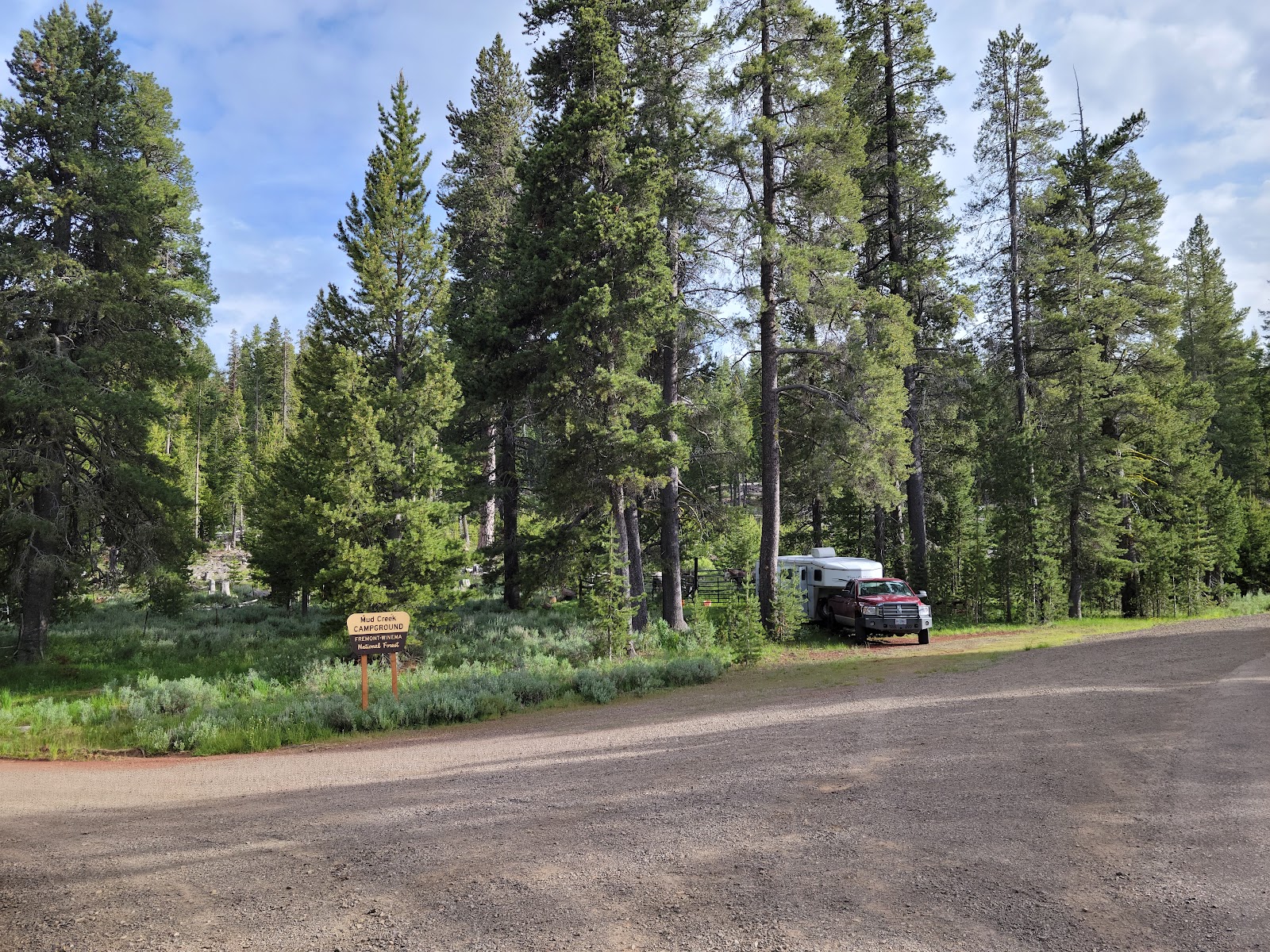 Pitchlog Creek Campground