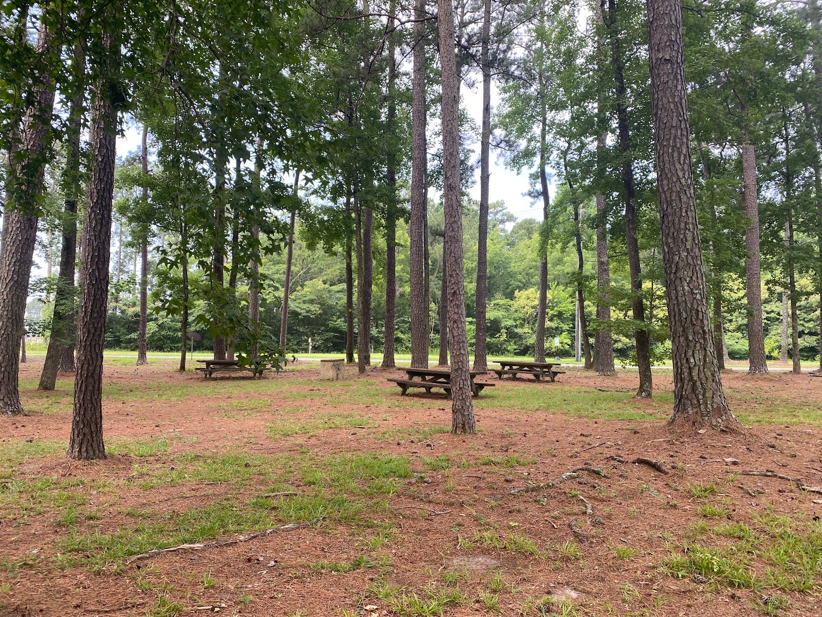 Seymour Johnson AFB FamCamp