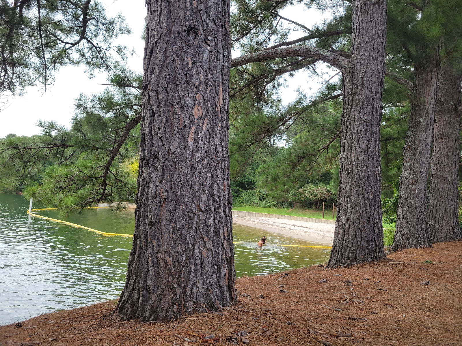 Little Hall Shelter (GA)