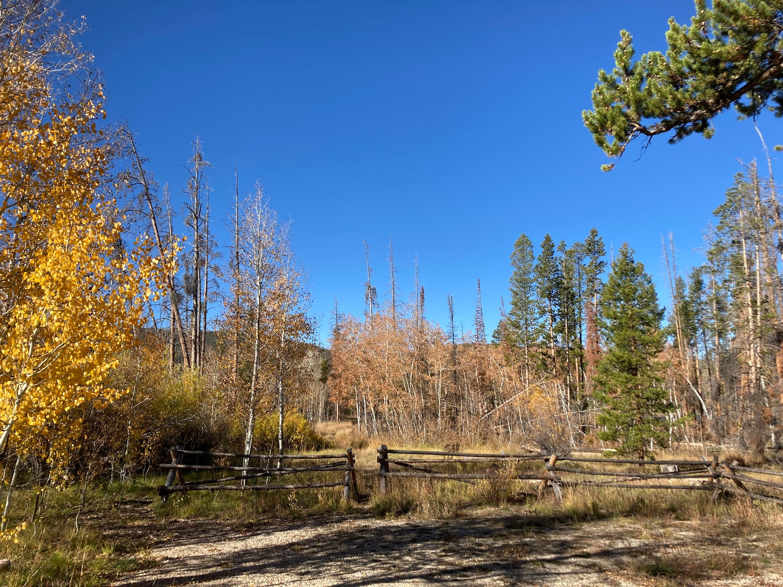 Ryan Park Campground