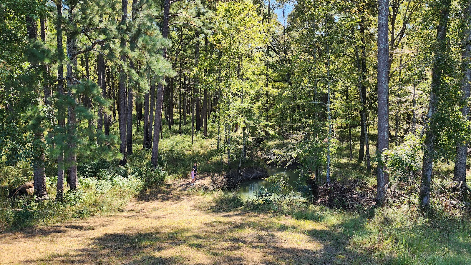 Marathon Lake Rec Area NF Campground