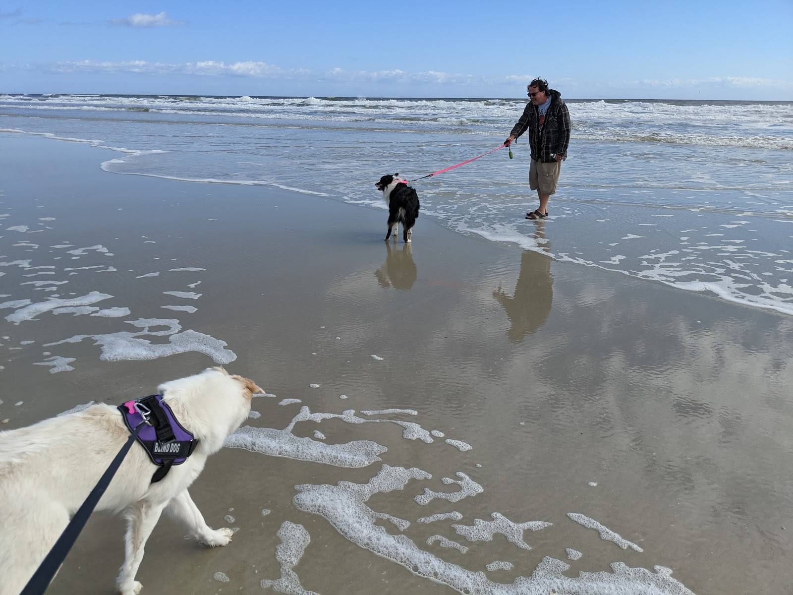 Bryn Mawr Ocean Resort