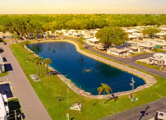 Big Tree (Age Restricted 55+)