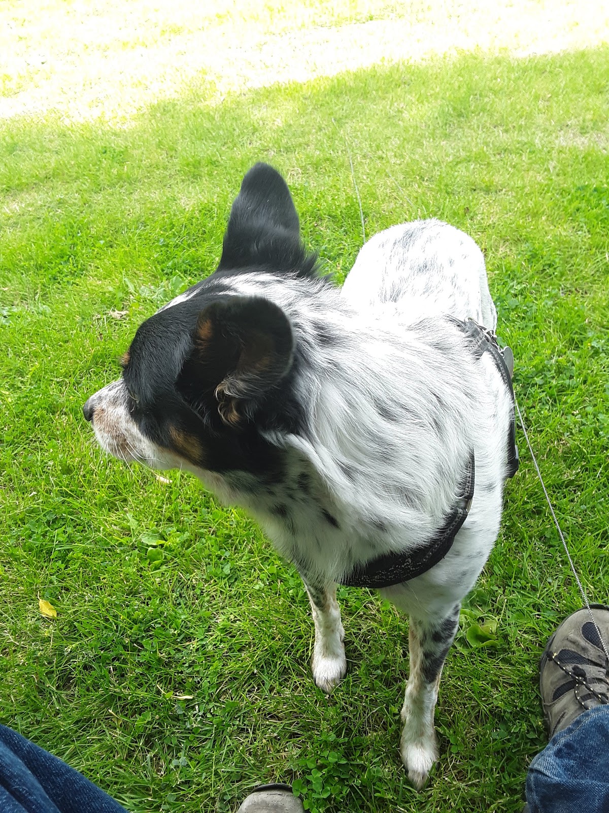 Cimarron West RV Park