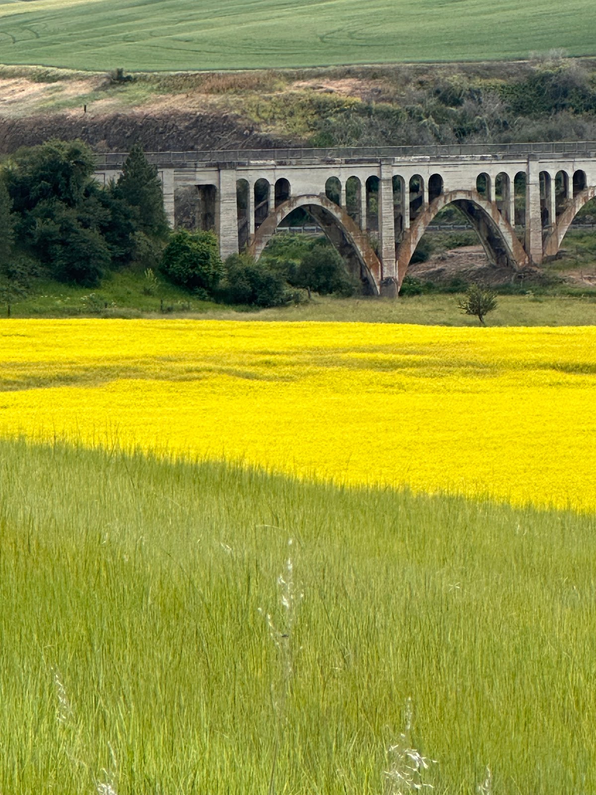 Hilltop Mobile Home & RV Park