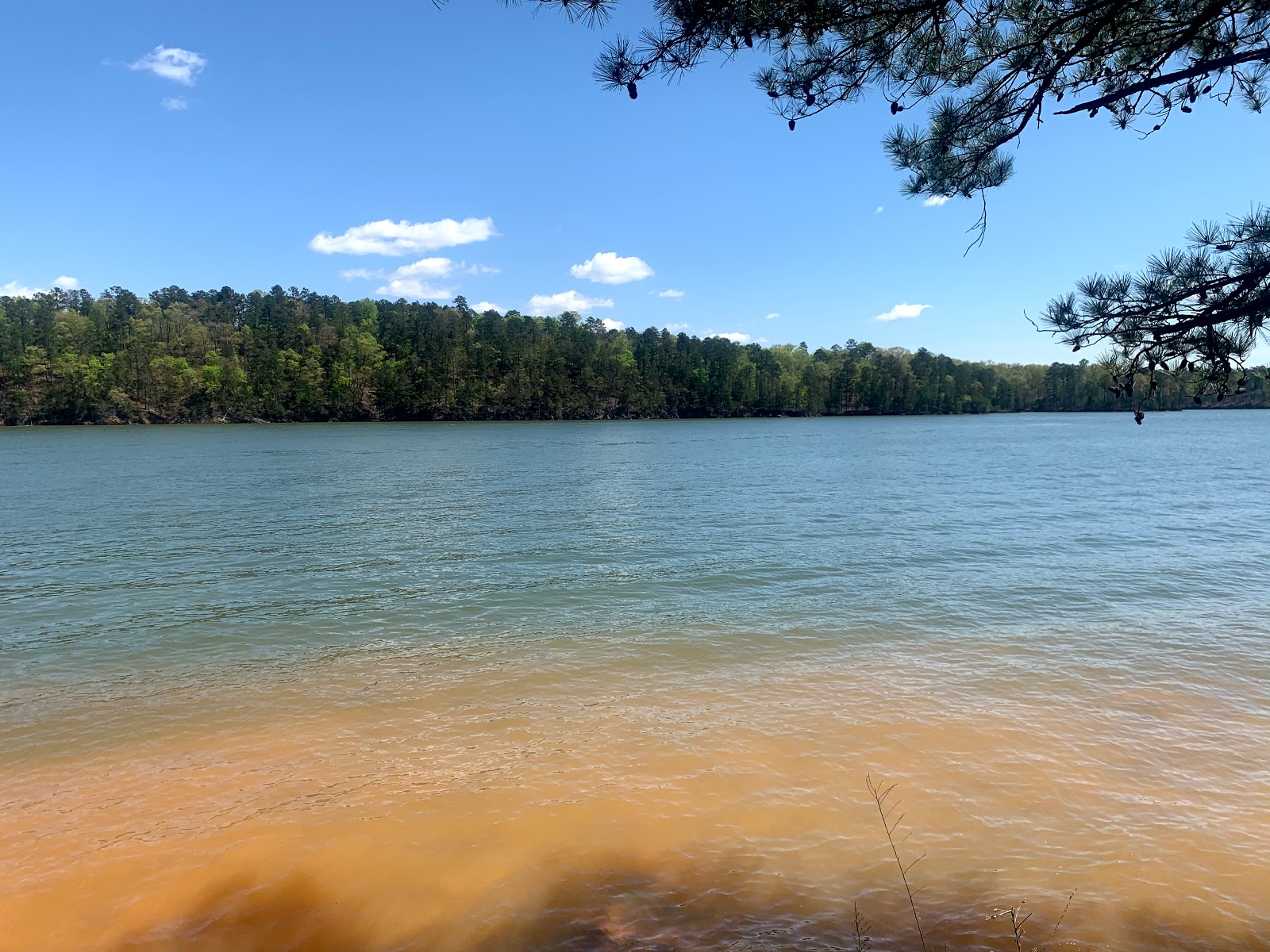 Red Top Mountain State Park