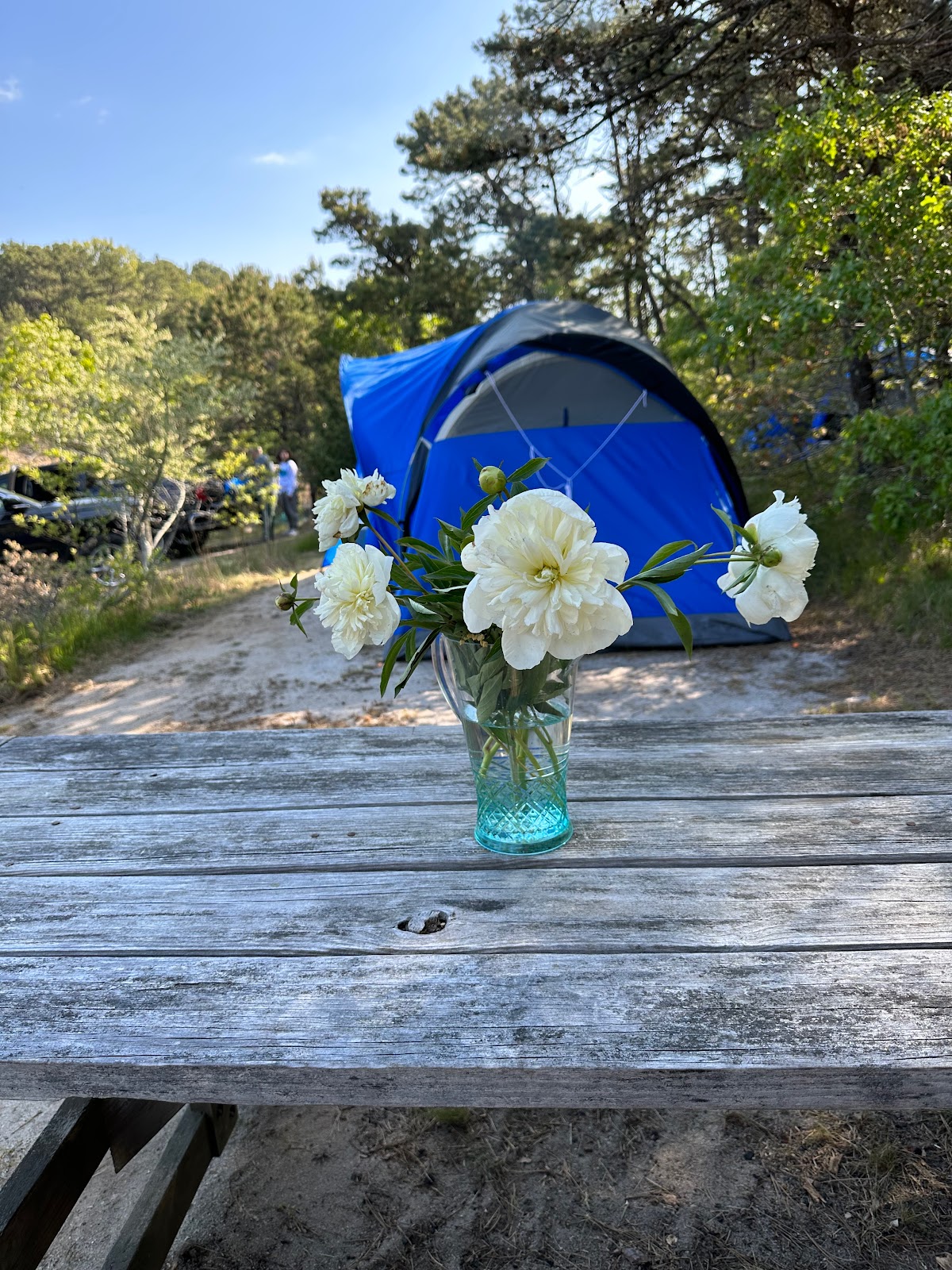 Horton's Camping Resort