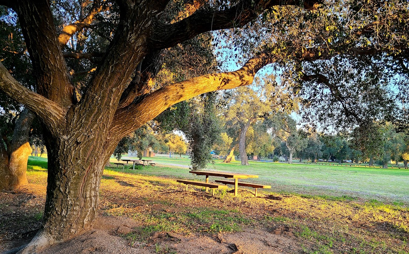 Potrero Regional Park