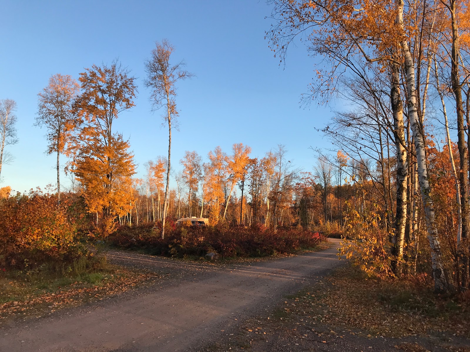 Birch Grove NF Campground