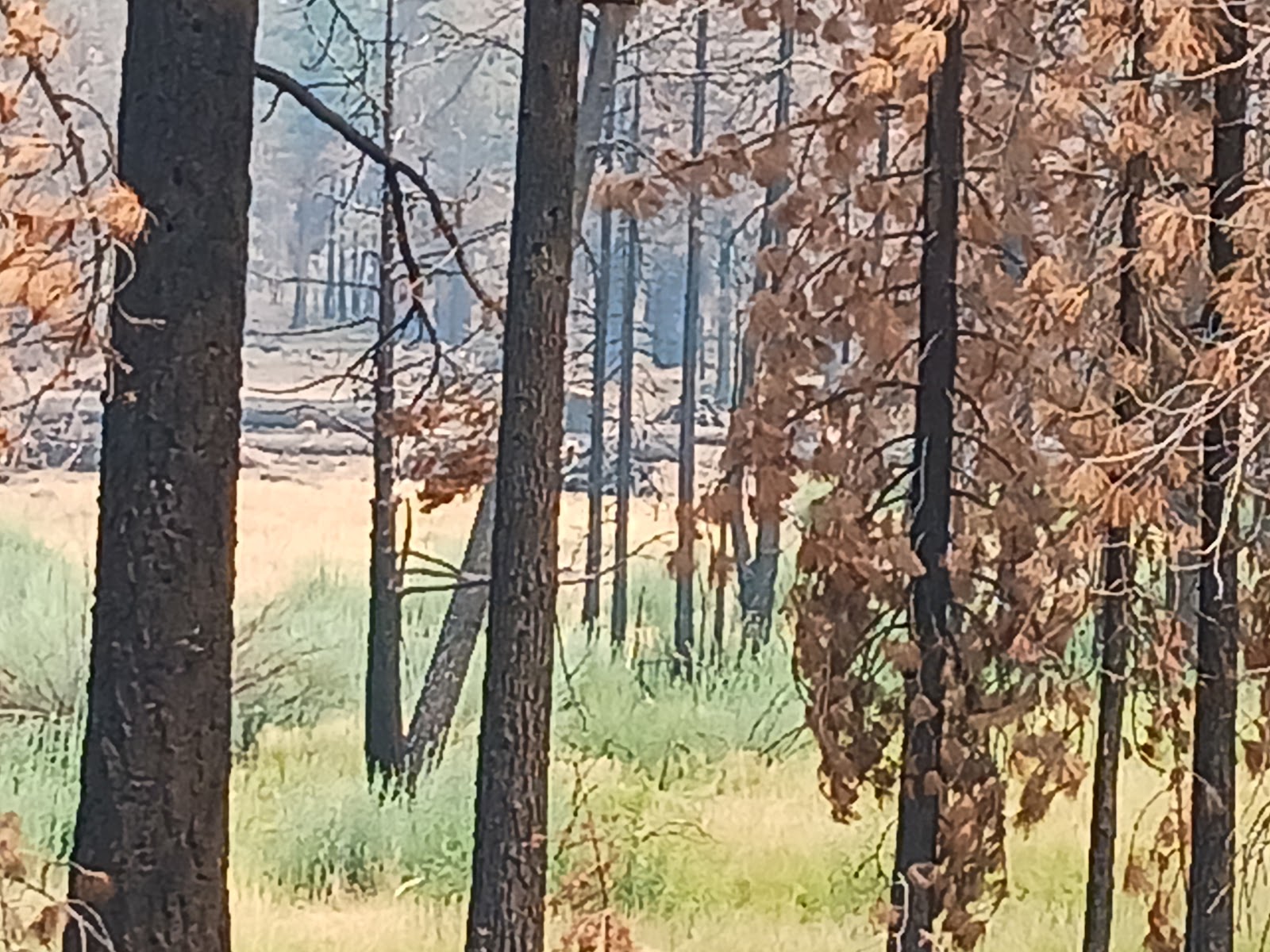 Conklin Park Campground