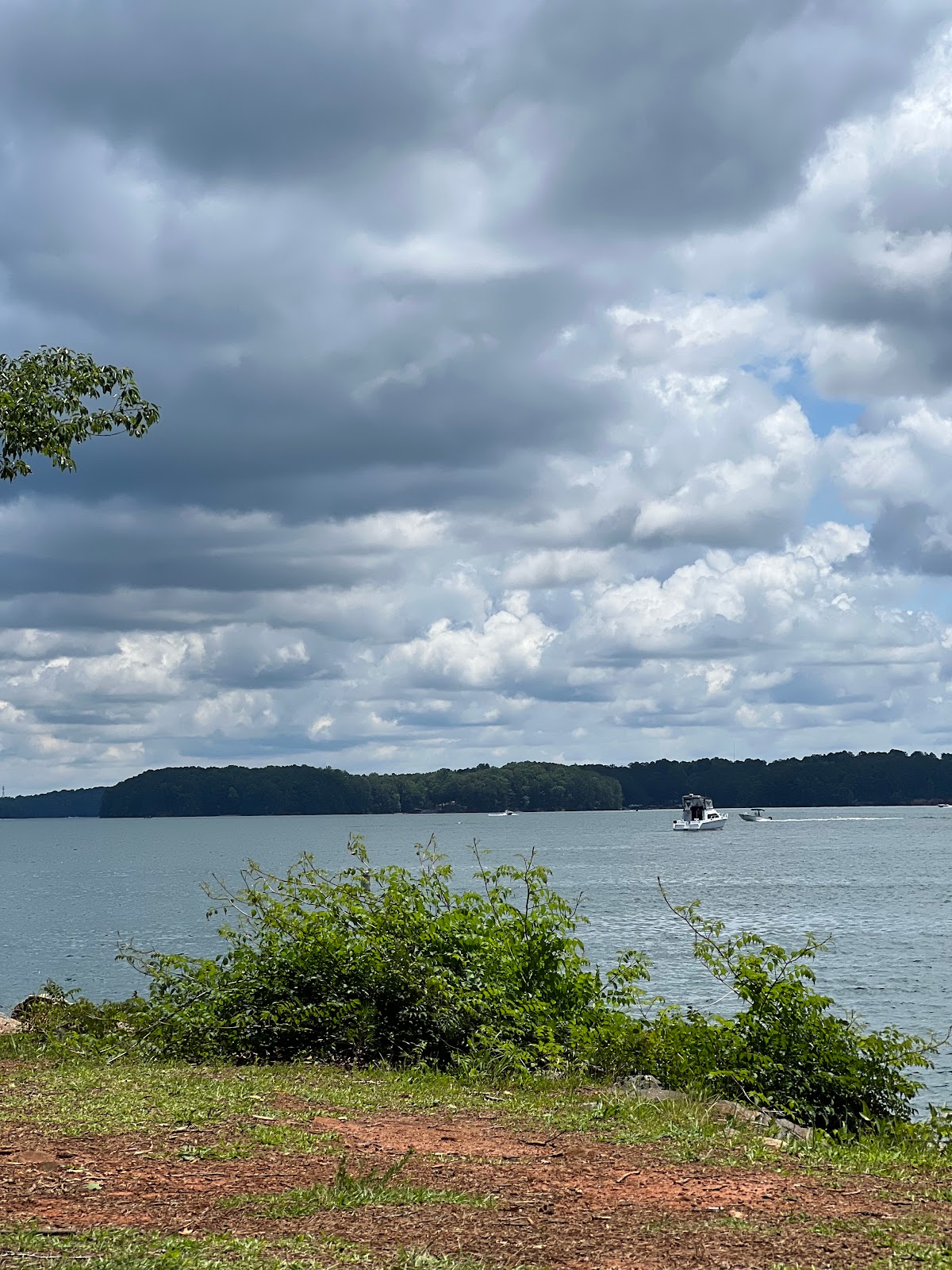 Buford Dam Park Shelters (GA)