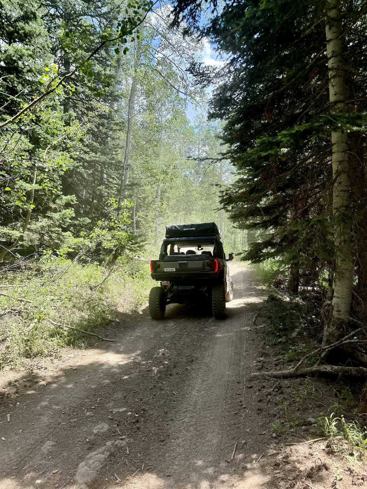 Pine Valley Group Site