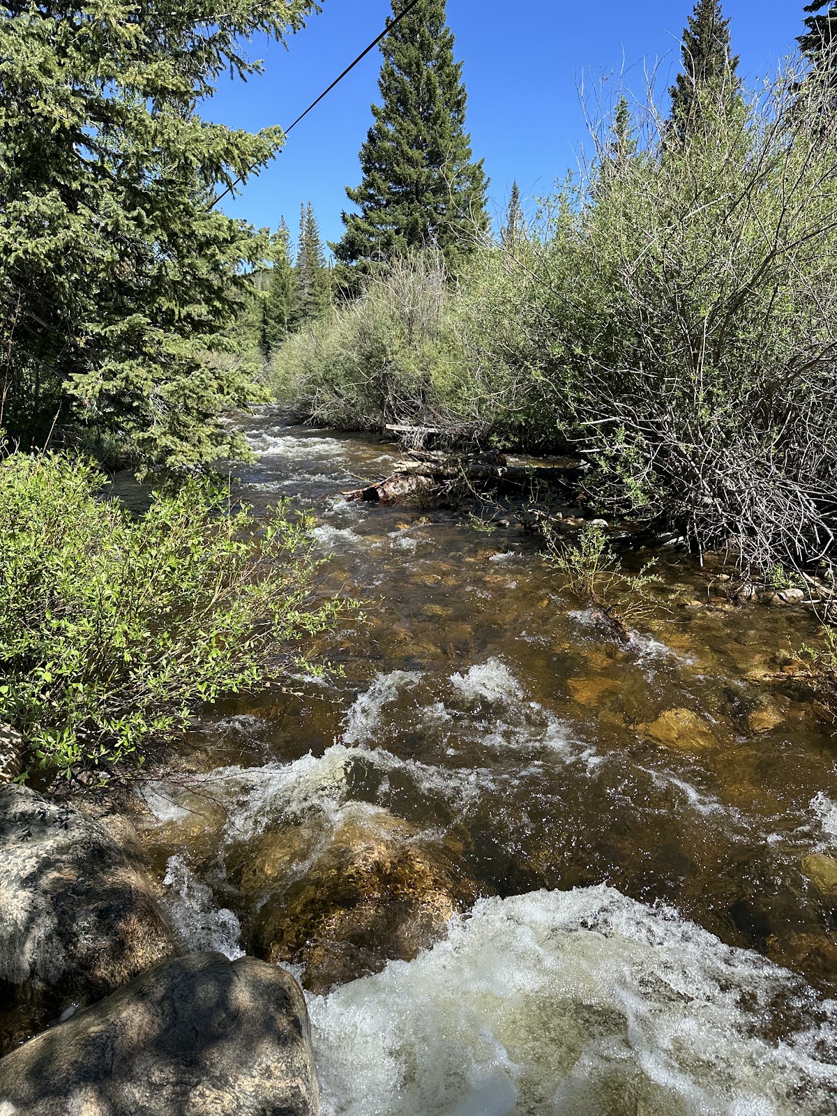 Pine Libby Creek Rec Area