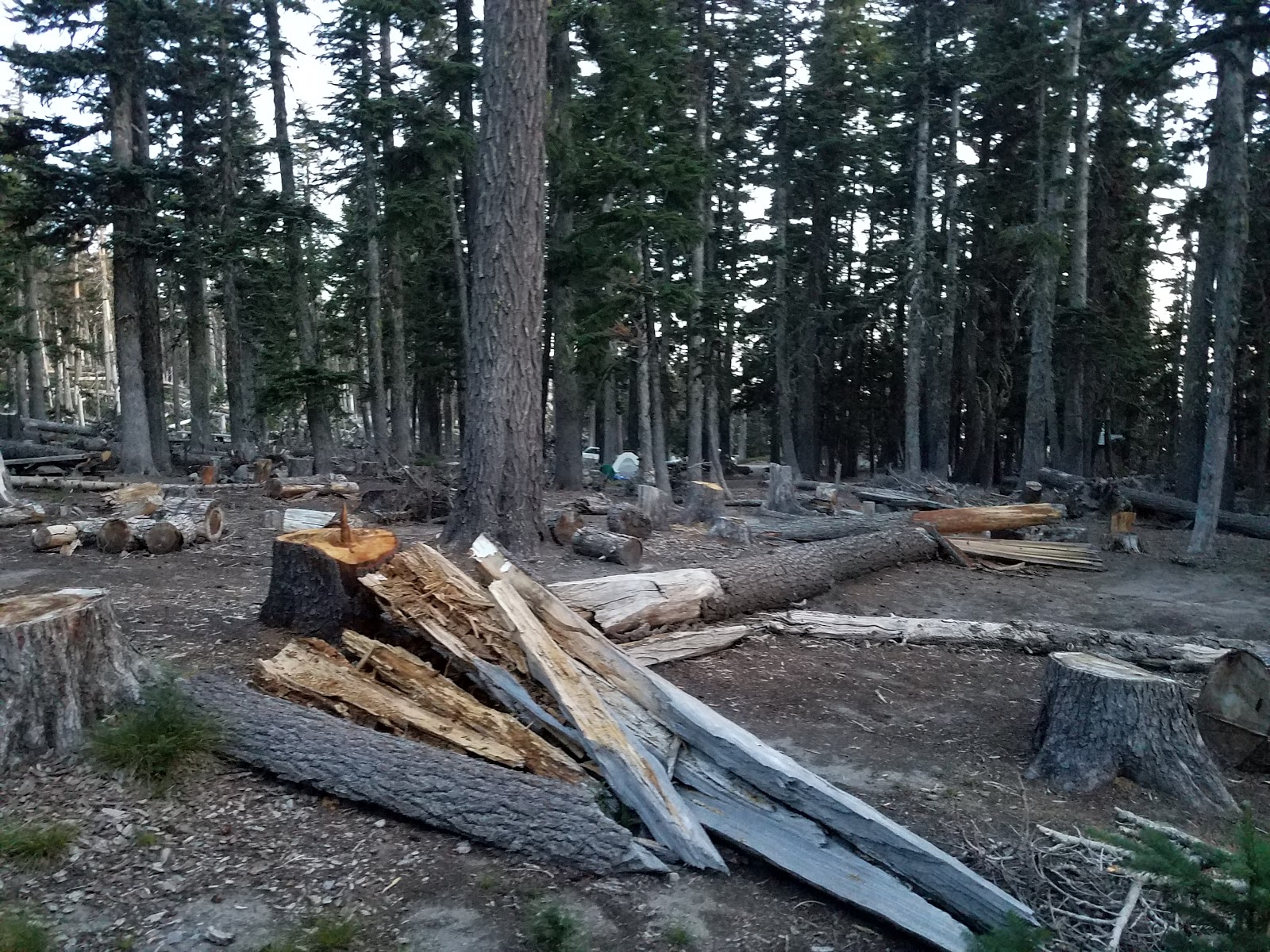 Tilly Jane Campground