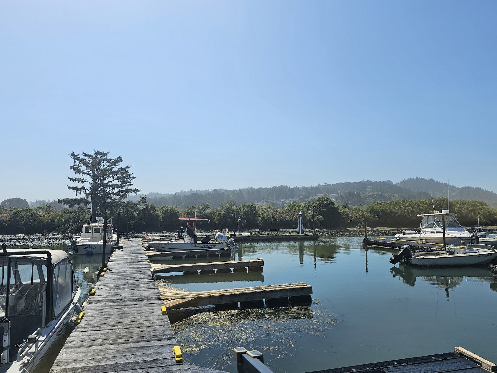 Johnnys at the Beach
