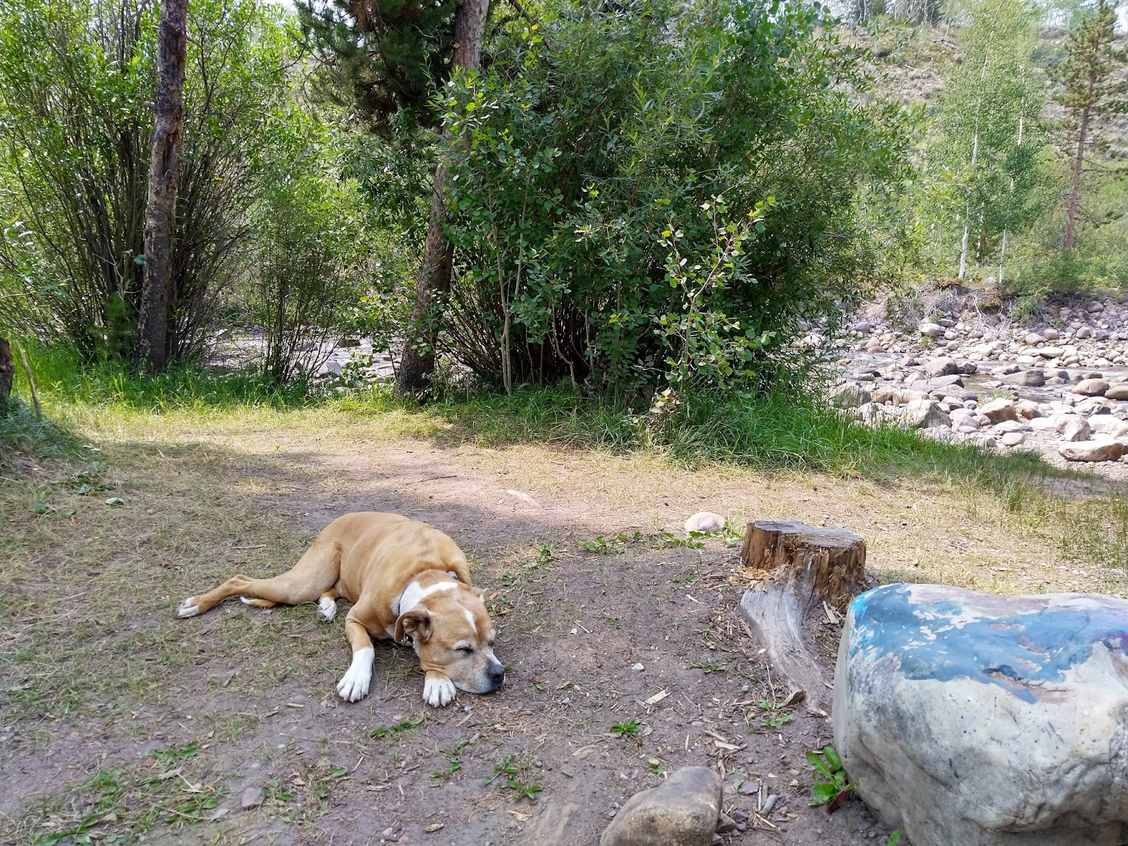 Bear River Campground