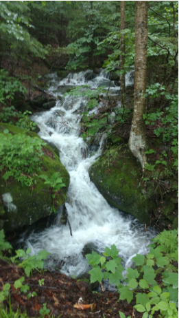 Underhill State Park