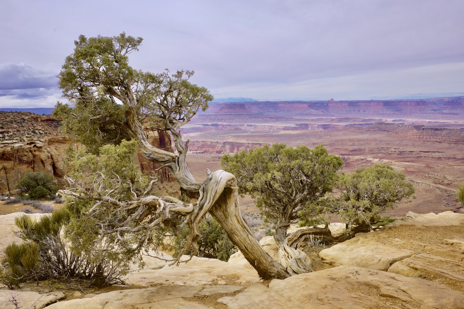 Arches National Park