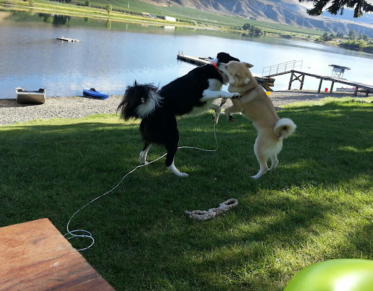 Spectacle Lake Resort