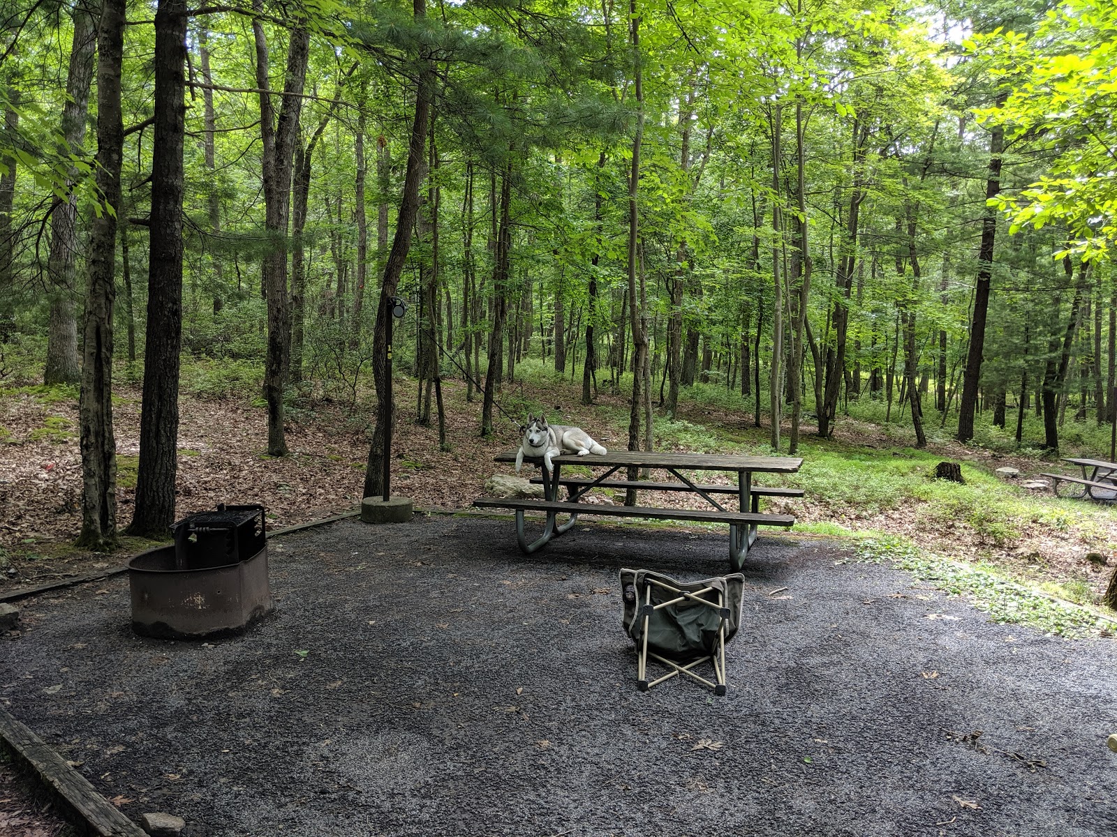 Trout Pond Campground