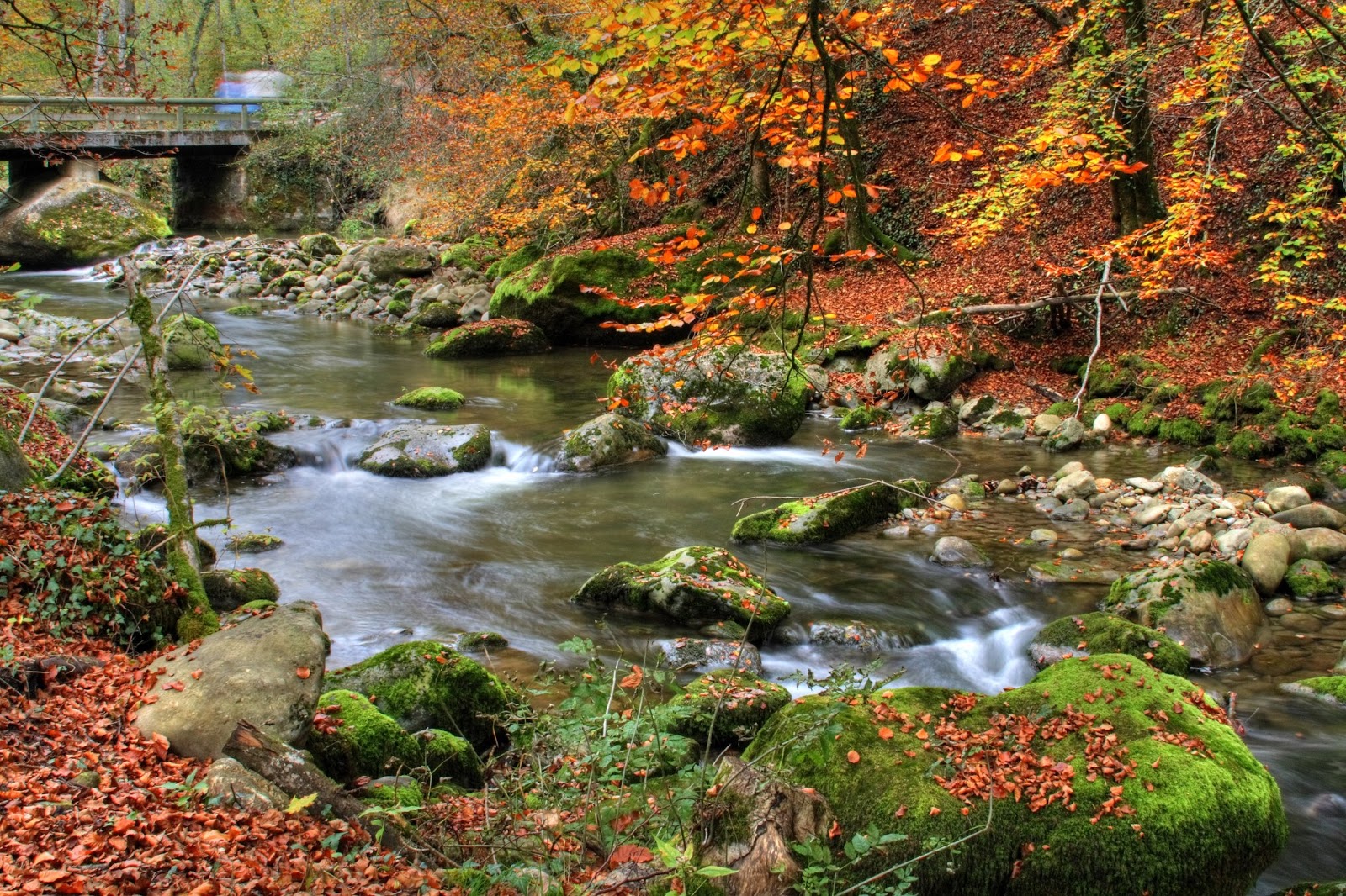 Mountain Stream RV Park