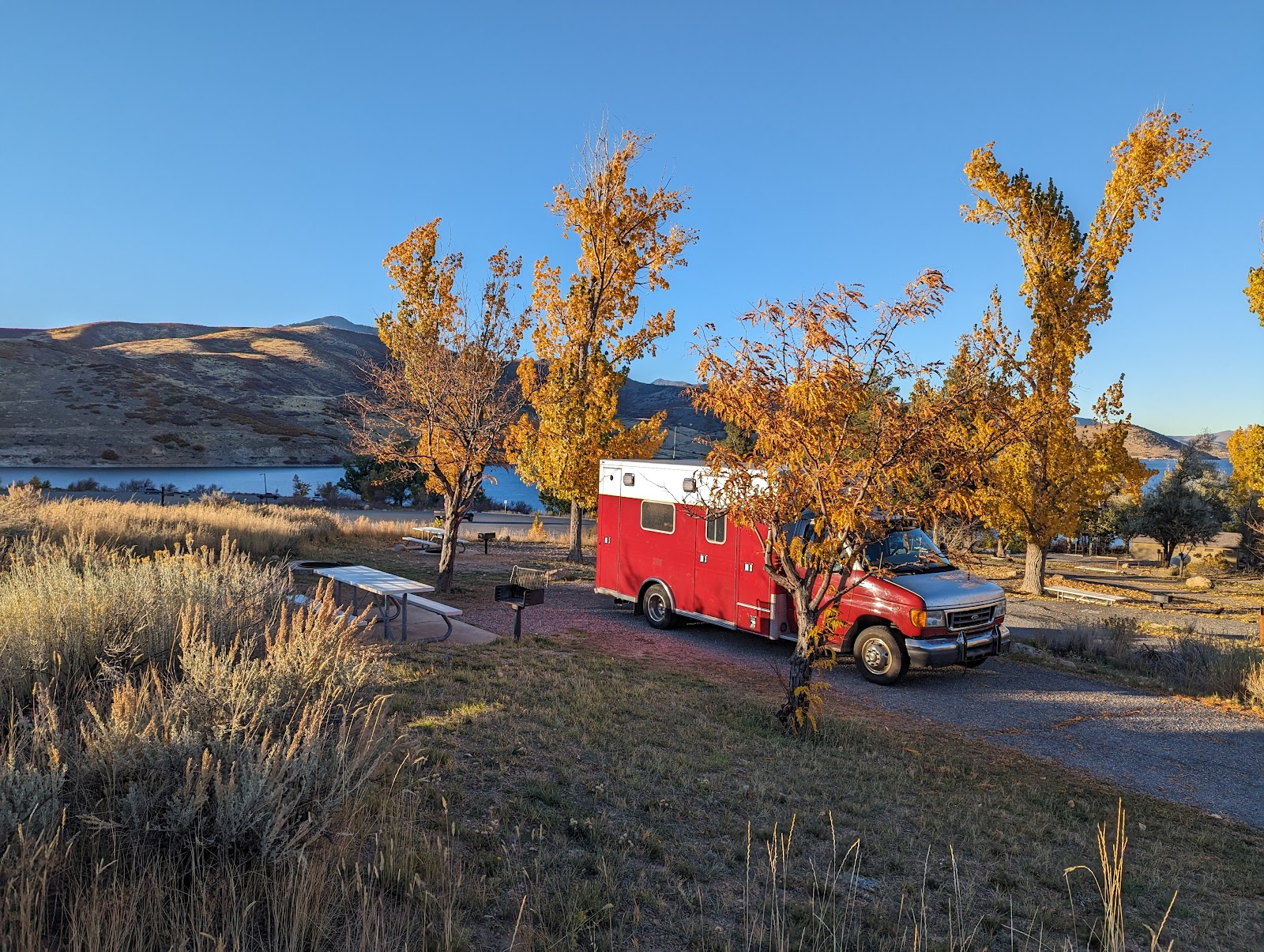 Great Horned Owl Campground
