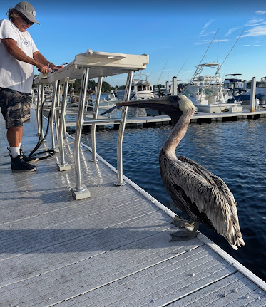 Anclote Village Marina