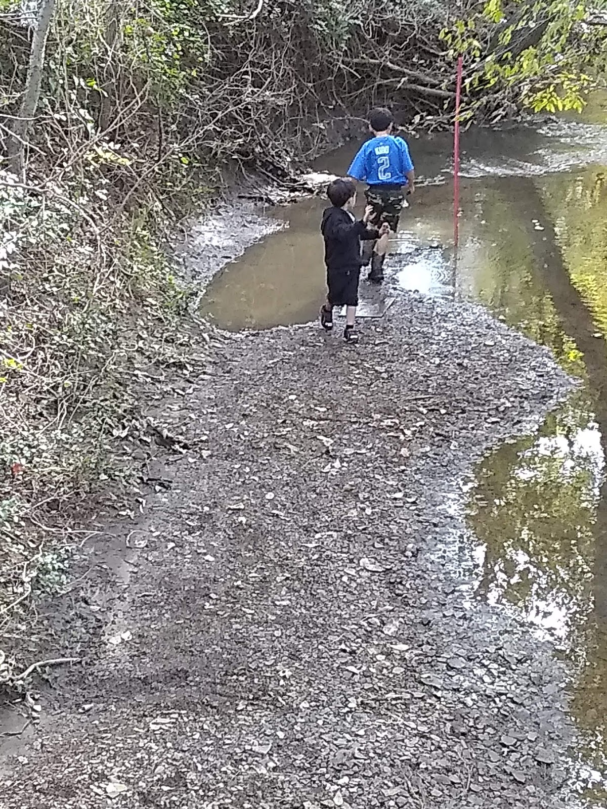 Willow Run Mobile Home Park