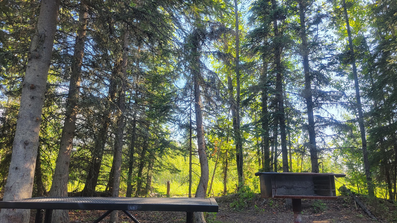 Black Spruce RV Park