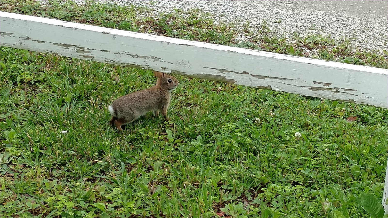 Homestead Campground