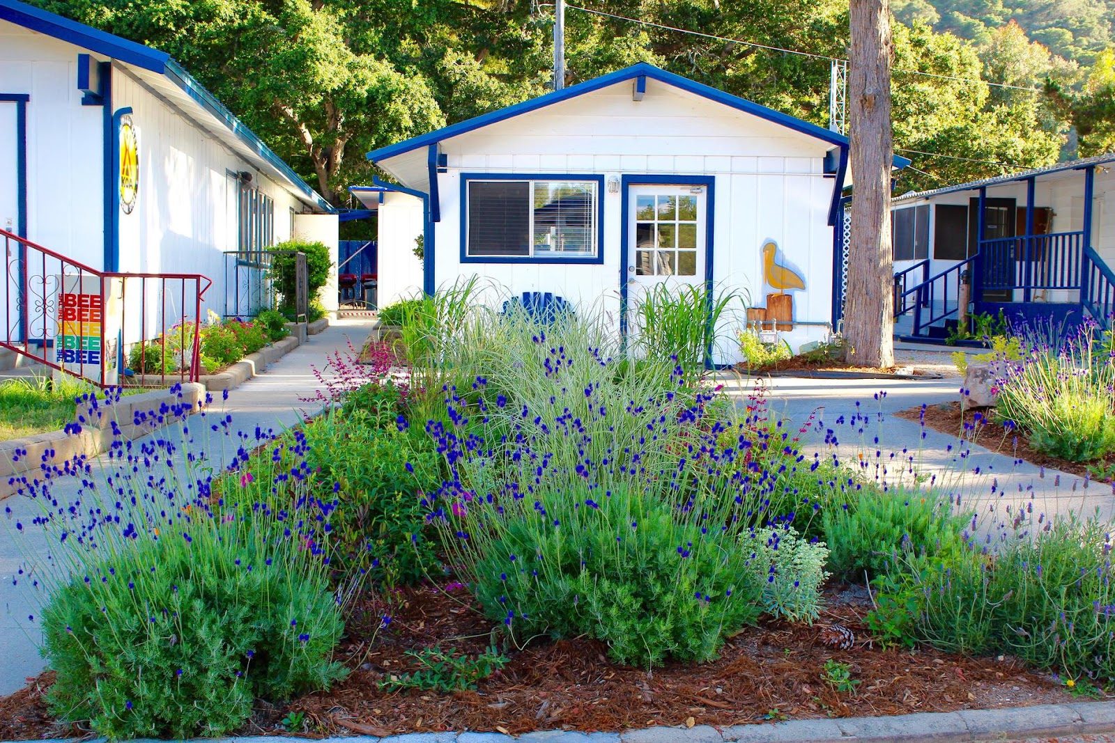 Avila/Pismo Beach KOA