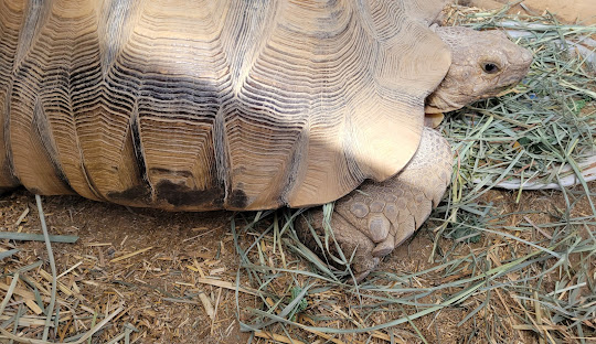 Cool Creek Park & Nature Center