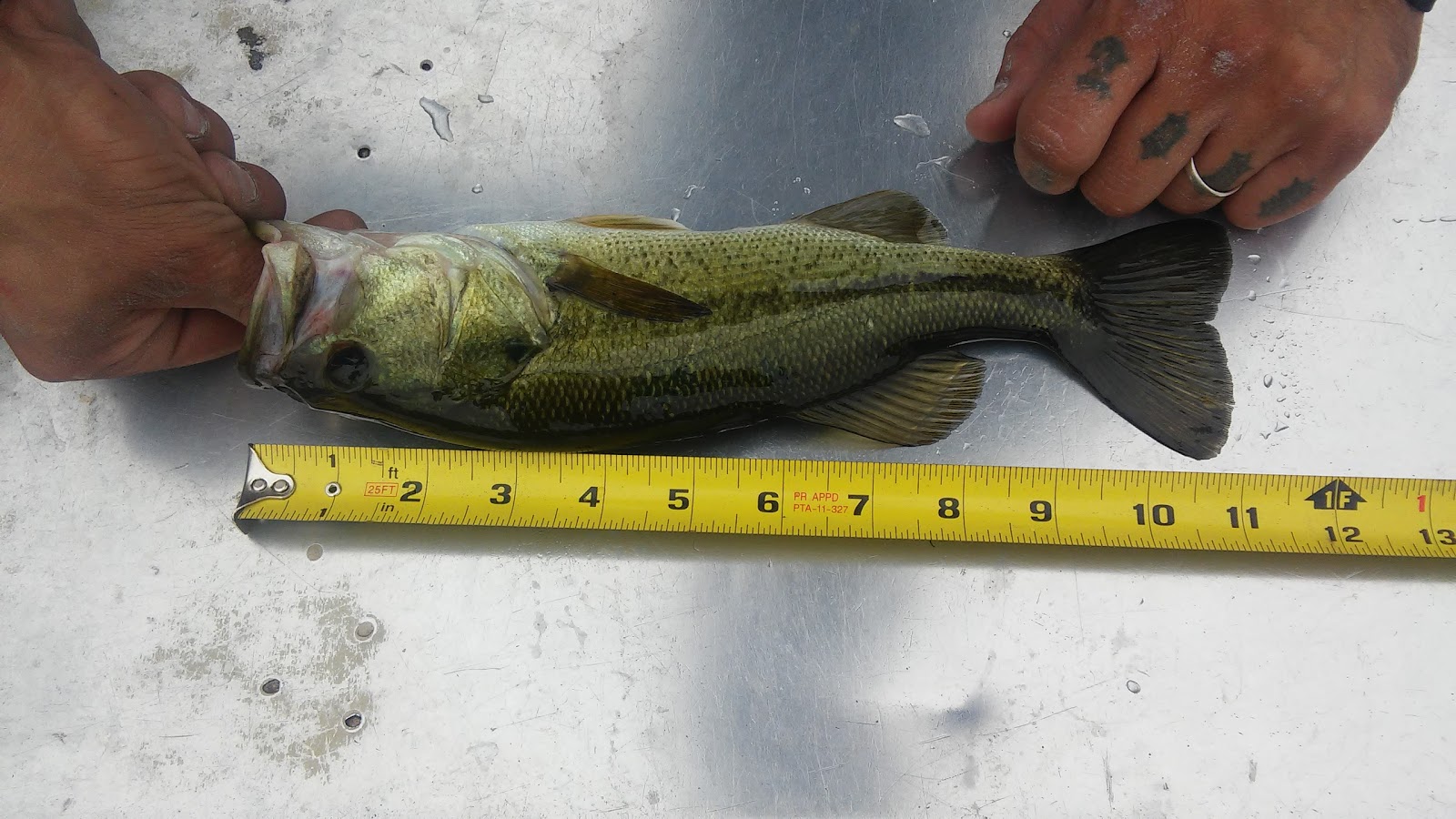 Leisure Time RV Park LLC